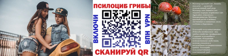 Псилоцибиновые грибы Magic Shrooms  Дмитровск 